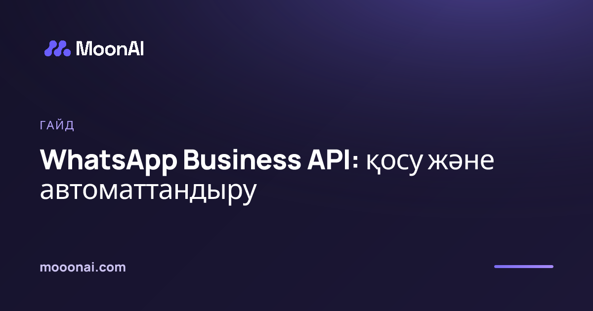 WhatsApp Business API: қосу және автоматтандыру
